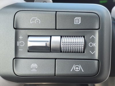 2026 Hyundai IONIQ 9 Performance Calligraphy